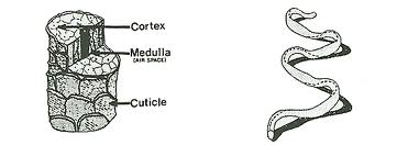 imagesCA8EK7AD_zps973a71fd.jpg imagesCA8EK7AD_zps973a71fd.jpg