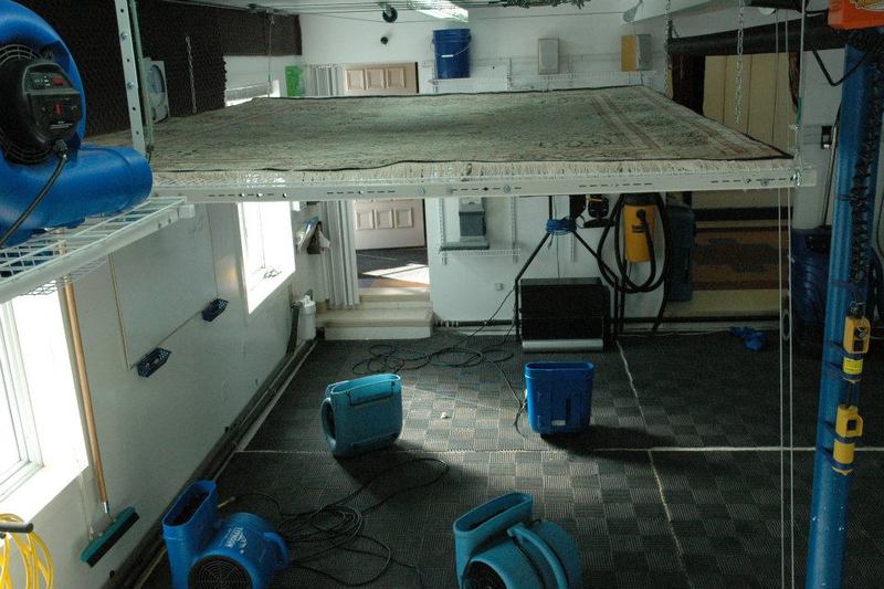 PeacockFlateDrying407377_272801256125702_1415036778_n_zps358b749c.jpg PeacockFlateDrying407377_272801256125702_1415036778_n_zps358b749c.jpg